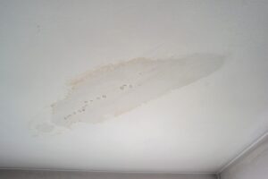 Roof & Leak Repair Services in San Jose, CA